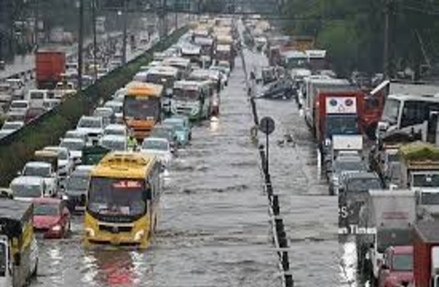 Clean India, Green India